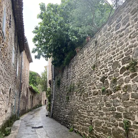 Le Vieux Figuier