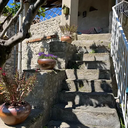 Le Vieux Figuier 3*